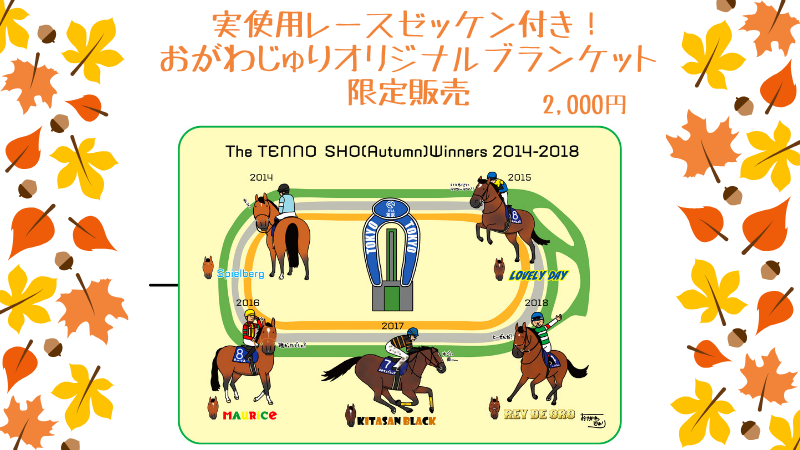 実使用レースゼッケン付グッズ限定販売！】 明日10/26（土）開門より