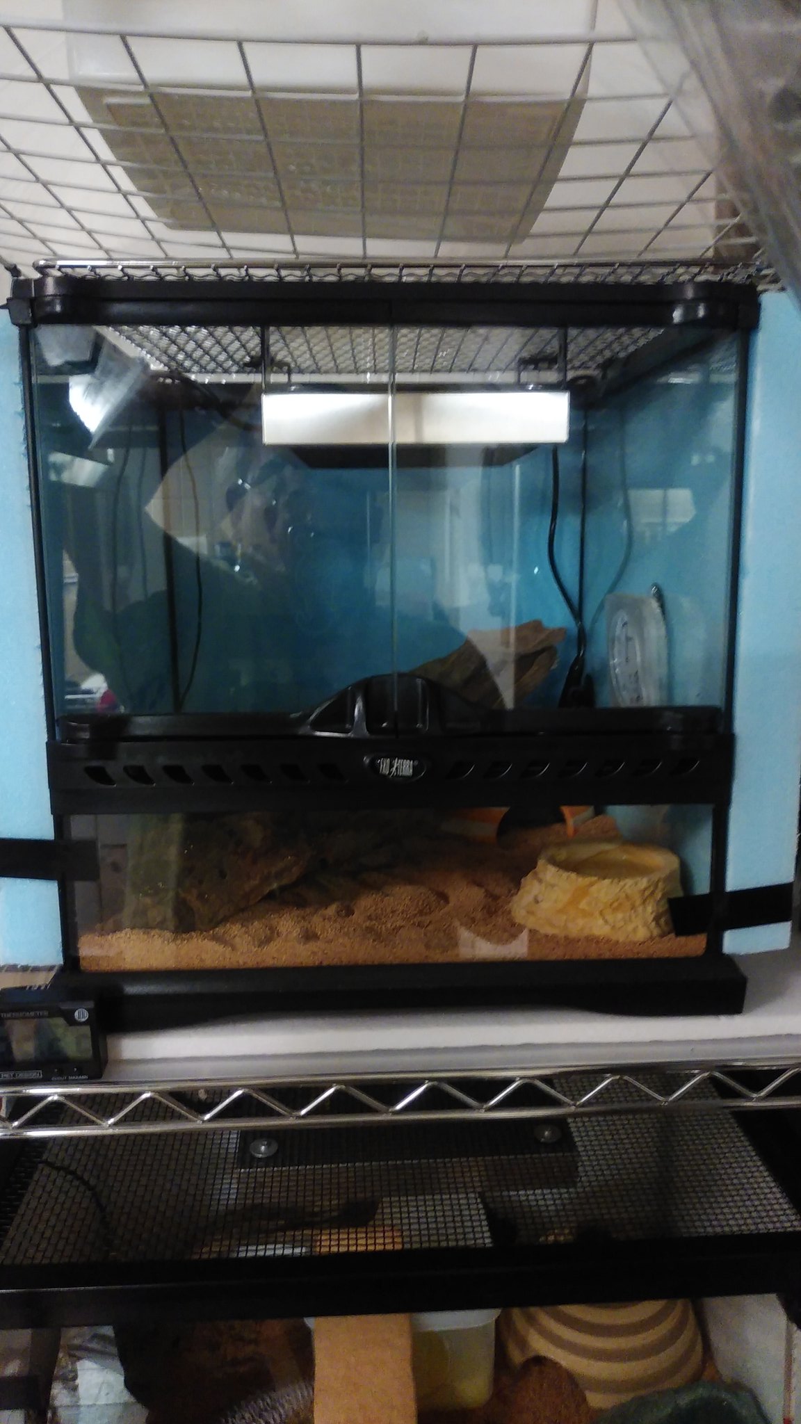 グラステラリウム3030 暖突S ピタリ適温プラス グラステラリウム3030 暖突S ピタリ適温プラス