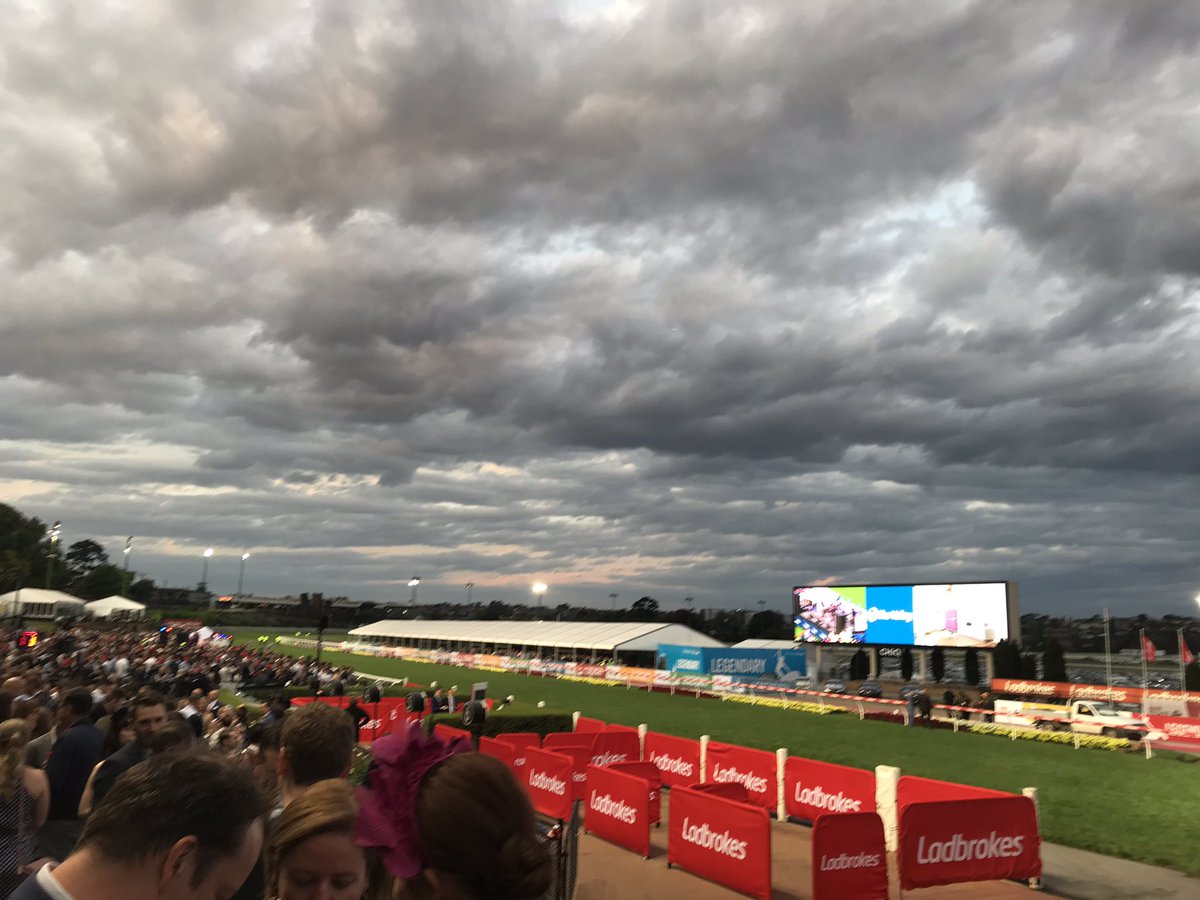 LukeDAnello's tweet image. Solid evening at #TheValley #ManikatoStakes