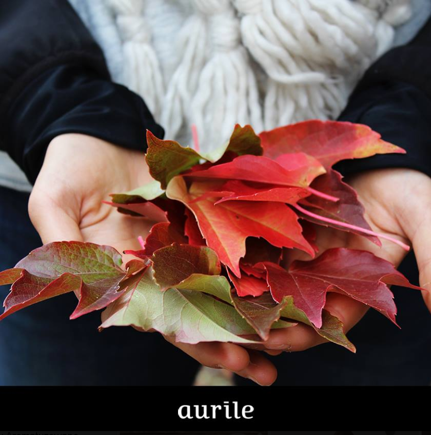 AurileFMUK's tweet photo. 🍁 take #aurile for an autumn walk 🍁 https://t.co/VultqfjDgx