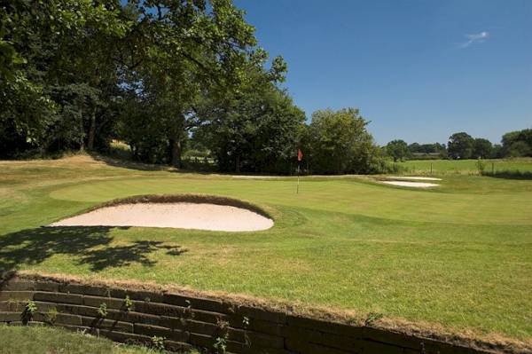 PlayMoreGolf tweet media