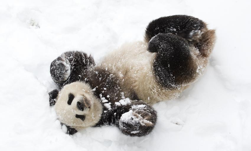 GeeksPython's tweet image. Python Pandas for Beginners - A Complete Guide (Part 2)
Exploring, cleaning, transforming, and visualization data with Pandas in Python.
#python #python_pandas #python_tutorial #python_example pythongeeks.net/python-tutoria…