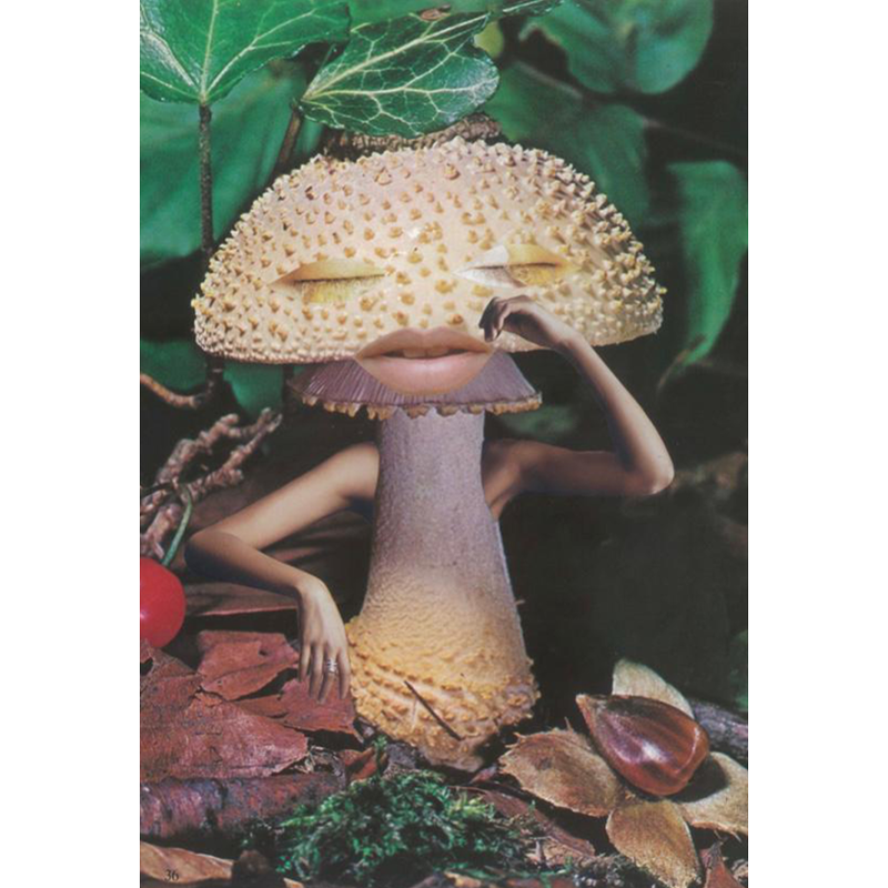 Better days are coming, they’re called Saturday and Sunday

Mushrooms are the foods of the gods.

Greek proverb.

chagalife.co.uk

#chaga #chagamushroom #tea #mushroom #shrooms #medicinalmushrooms #plants #plantbased #plantbaseddiet #herbs #health