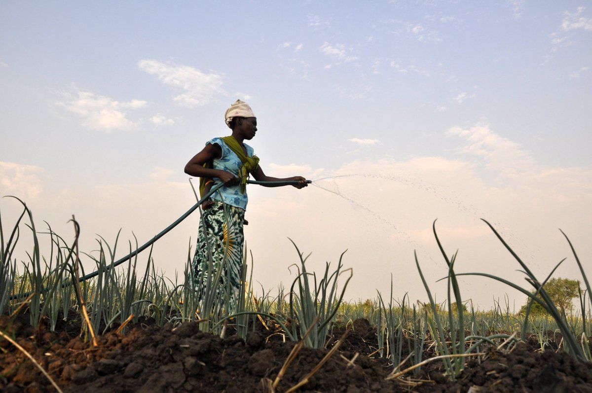 Global Center on Adaptation tweet media