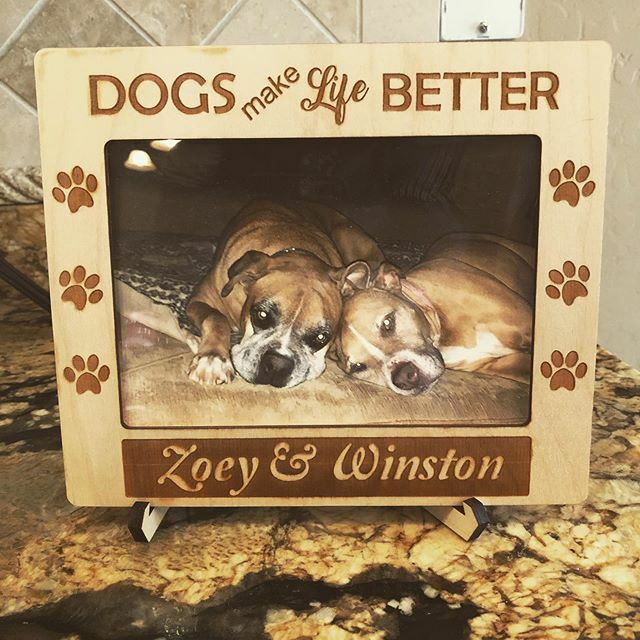 So touched that the owner of these #furbabies🐾 sent us this photo in our #uniqkool #ezslideframe.  We are also sad to learn that Zoey, just passed away.  We are honored to make a #remembrance #photoframe for her.  #ripdog #madeinaz #petframe #loveourdogs ift.tt/31Lo0Ll