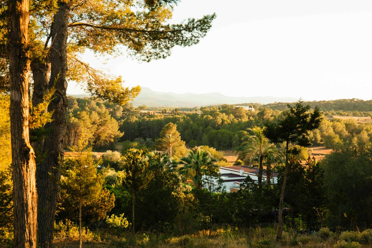 Don't miss the breathtaking view from our new suites! 
#casgasi #onlyatcasgasi #ibizahotel #ibizaboutiquehotel #boutiquehotel #luxuryhotel #organic #ecotravel #ibiza #ibiza2019 #luxury #paradise #hoteladdict #liveauthentic #ibizaisland