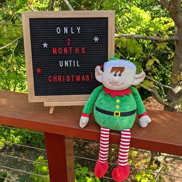 elfbystealth's tweet image. This is really happening!
#elfbystealth #notlongtogonow
#waitingforchristmas #christmascountdown #elvesonamission #spreadchristmascheer