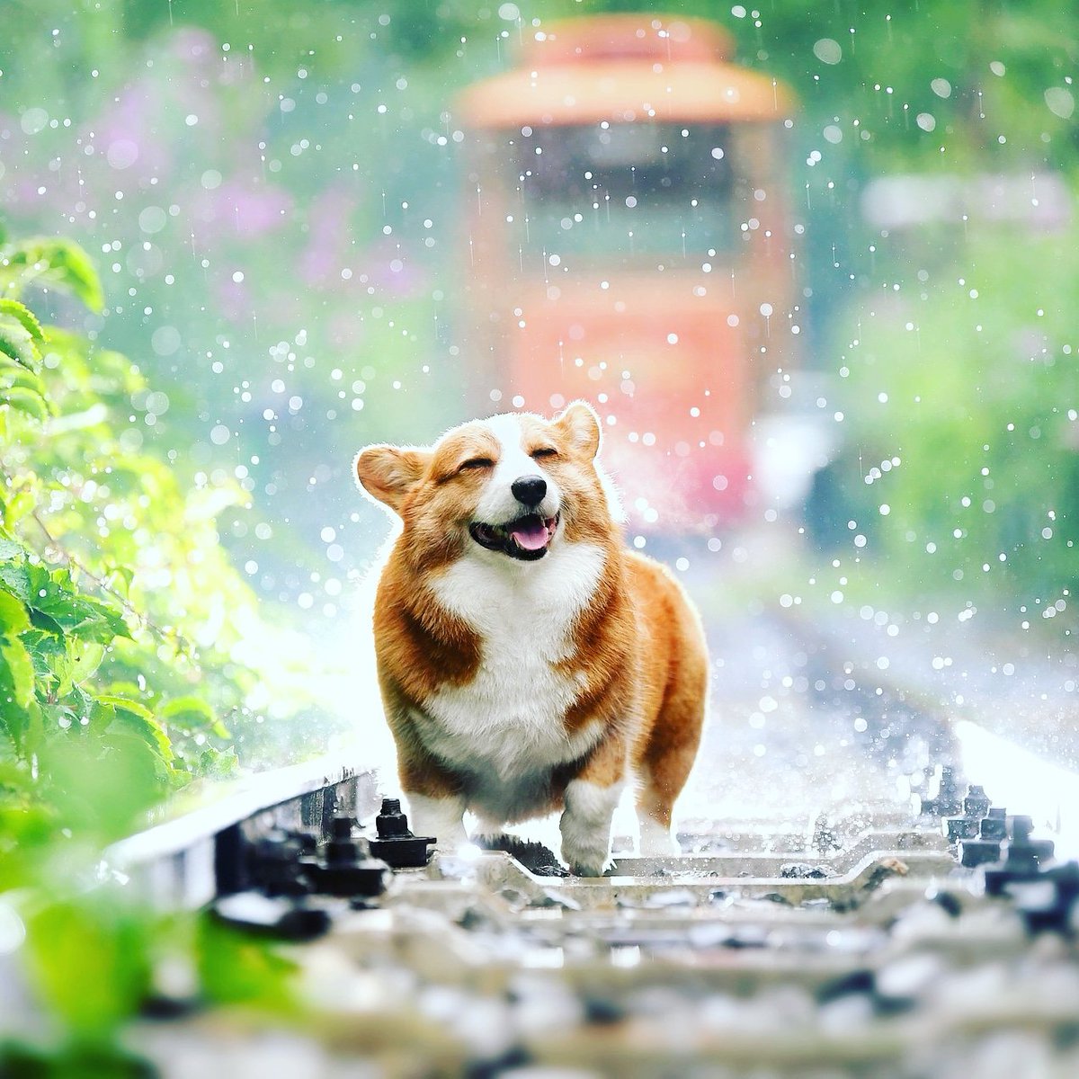 幸福就是如此简单❤