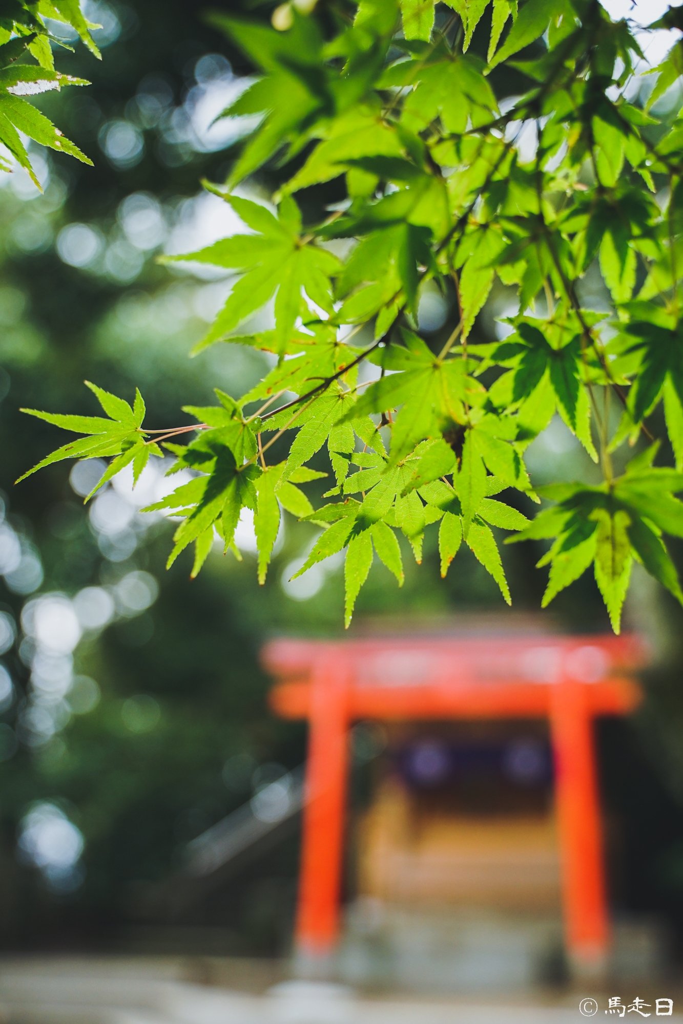 永觀堂 Twitter Search Twitter