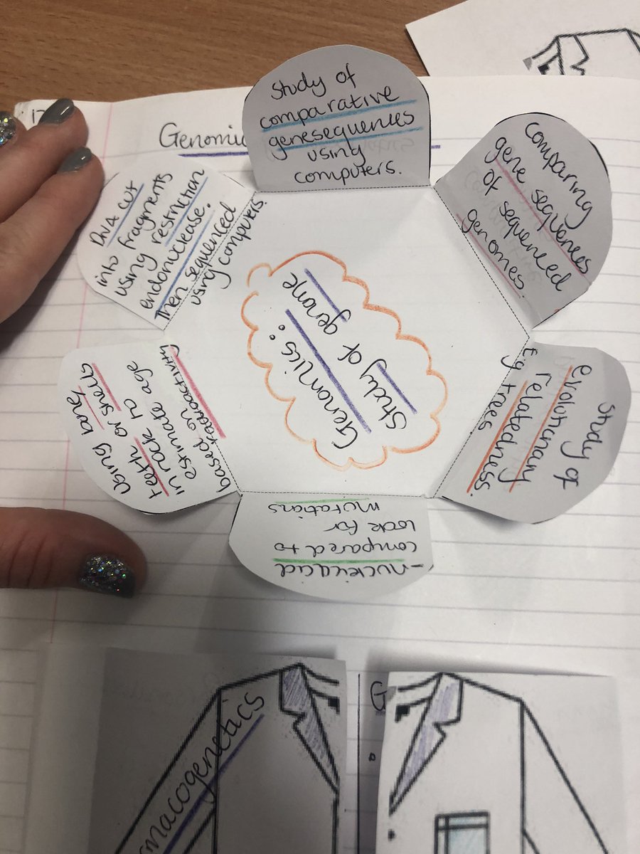LornshillBio's tweet photo. Foldable Friday continues in Higher with the last topic of Unit 1: Genomics 🧬 #interactivenotes https://t.co/iawmFN092F