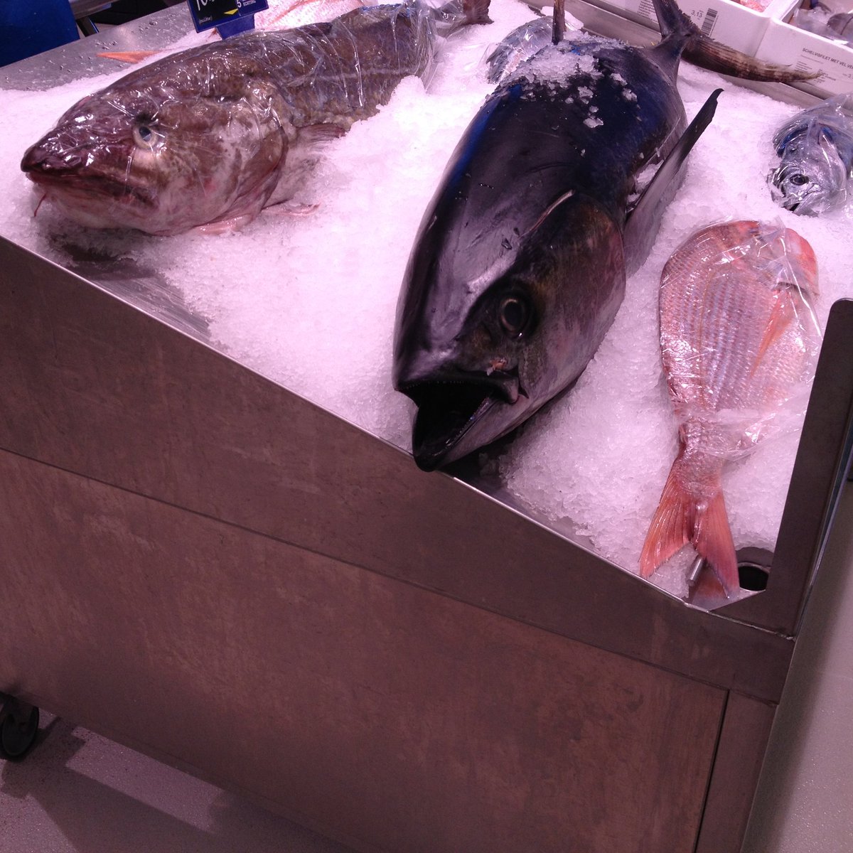 NVWA_Import's tweet photo. #IUU schaadt vispopulaties, vernietigt habitats, benadeelt eerlijke vissers en verzwakt kustgemeenschappen. Daarom is controle van de #vangstcertificaten belangrijk en is een onderdeel van de #invoerkeuring volgens VO 1005/2008/EG #traceerbaarheid #overbevissing https://t.co/wNhkAGSS3V
