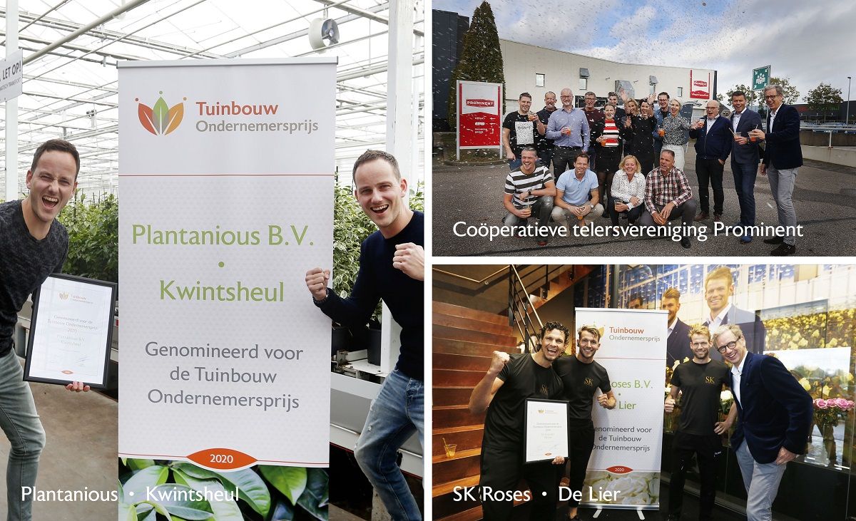 Finalisten Tuinbouw Ondernemersprijs 2020 bekend dlvr.it/RGxtrx #sierteelt #nieuws #media