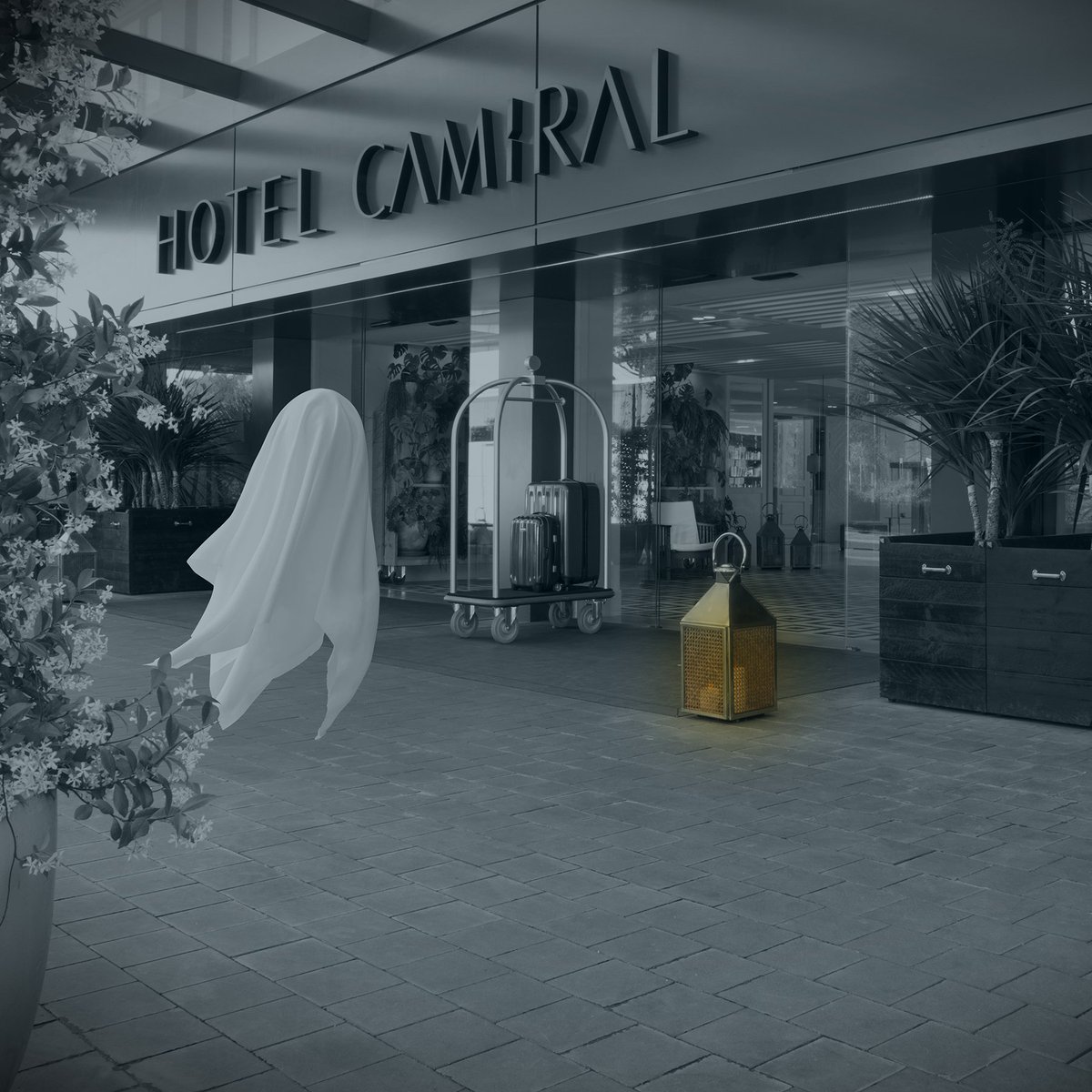 Halloween is here and we have all the tricks to enjoy it! 🎃 Join us in one of the many activities we have prepared for everyone. Discover them all here: bit.ly/PGAHalloween20… #HotelCamiral