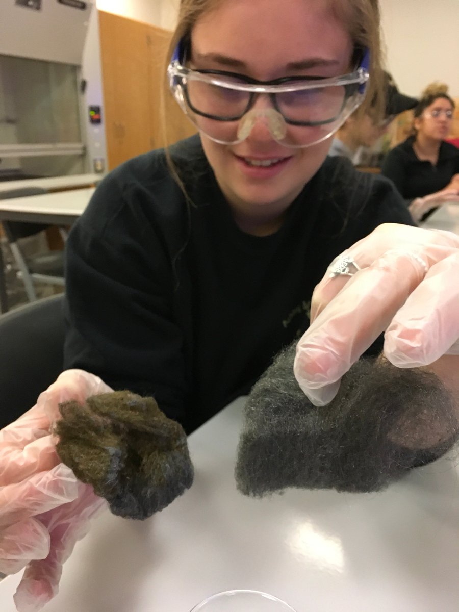 mr_warne's tweet photo. Chemistry students making rust using steel wool and measuring temperature change #massSTEMweek @WhittierTechHS @KAFay9 https://t.co/hqJZSd9oCN