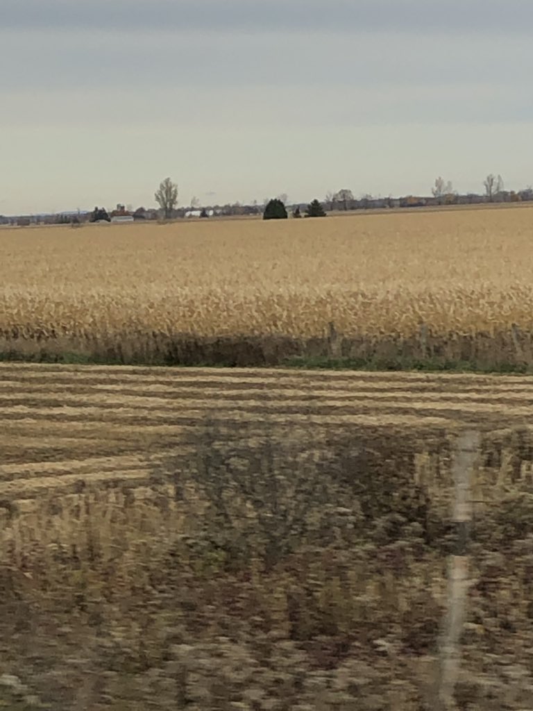 J_HarrisPT's tweet photo. On the train to Montreal ...Looking forward to connecting with colleagues and a great #cacpr and #CCCMTL program! https://t.co/iSUh3C4EbL