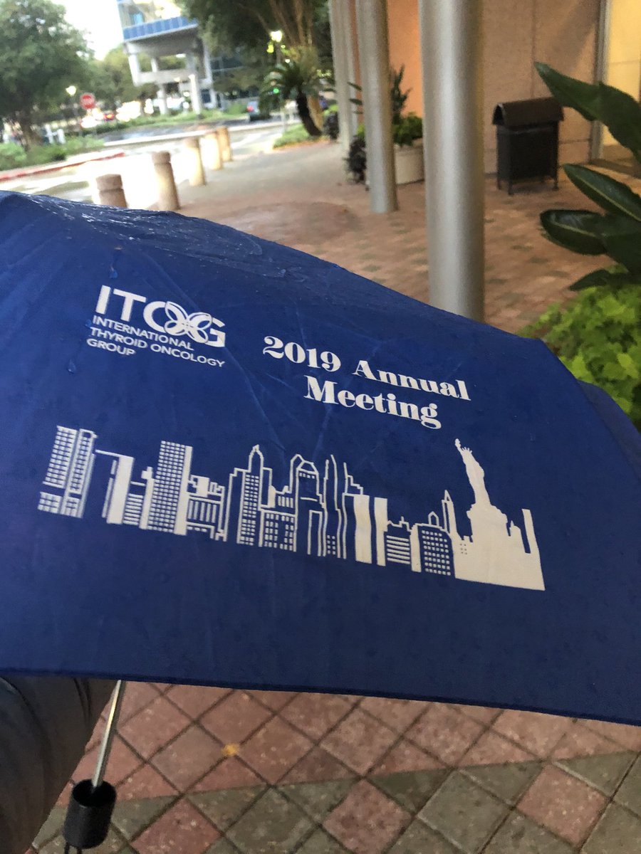 DaduRamona's tweet photo. It was raining in Houston this morning. Thankfully, I had my #ITOG umbrella handy. @ITOGinfo https://t.co/b8hVsbEG7g