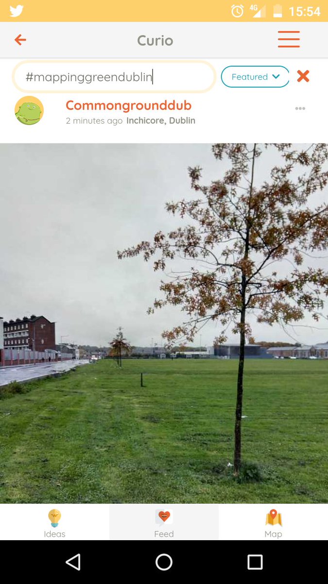 CommonGroundDub's tweet photo. We just created our profile to capture trees on the estate for @DublinGreening . 1 Download the app from @curioxyz 2 create your profile &amp; 3 go to EXPLORE 4 Map location of your tree take a picture. Add in #mappinggreendublin go for it &amp; share with family &amp; pals. #dublin8 https://t.co/Z3sHk8lVO3