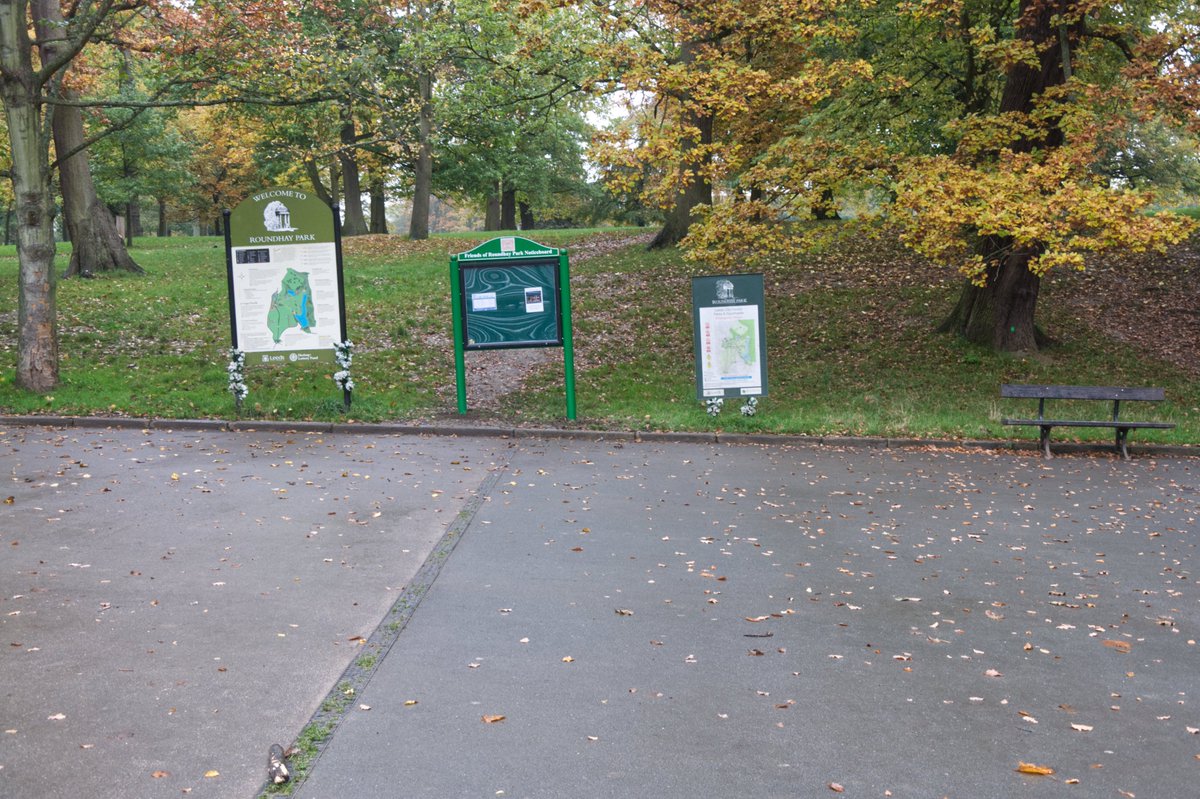 Friends of Roundhay Park tweet media
