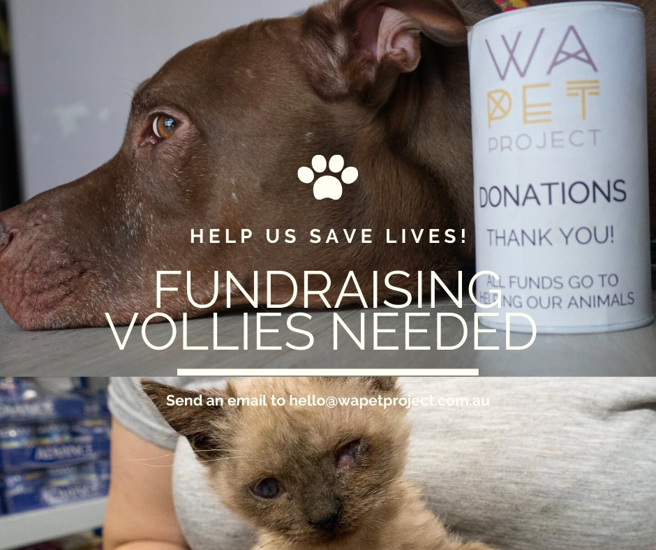 WA Pet Project tweet media
