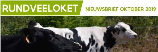 ILVOvlaanderen's tweet photo. Graag op de hoogte van alles wat met #rundvee te maken heeft? Lees dan de nieuwsbrief van het #rundveeloket op: https://t.co/lIBLcGa3so https://t.co/ioZZW5sbqj