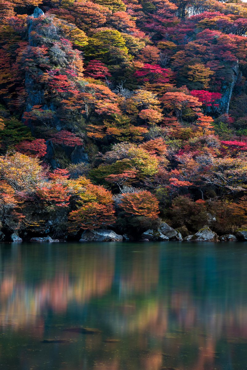 atsufphoto's tweet photo. 紅葉真っ盛りの大船山に登ってきました🚶
しんどかったけど絶景でした✨

#大分
#大船山
#御池
#紅葉
#tokyocameraclub 
#東京カメラ部
#PASHADELIC https://t.co/7vbxaubl81