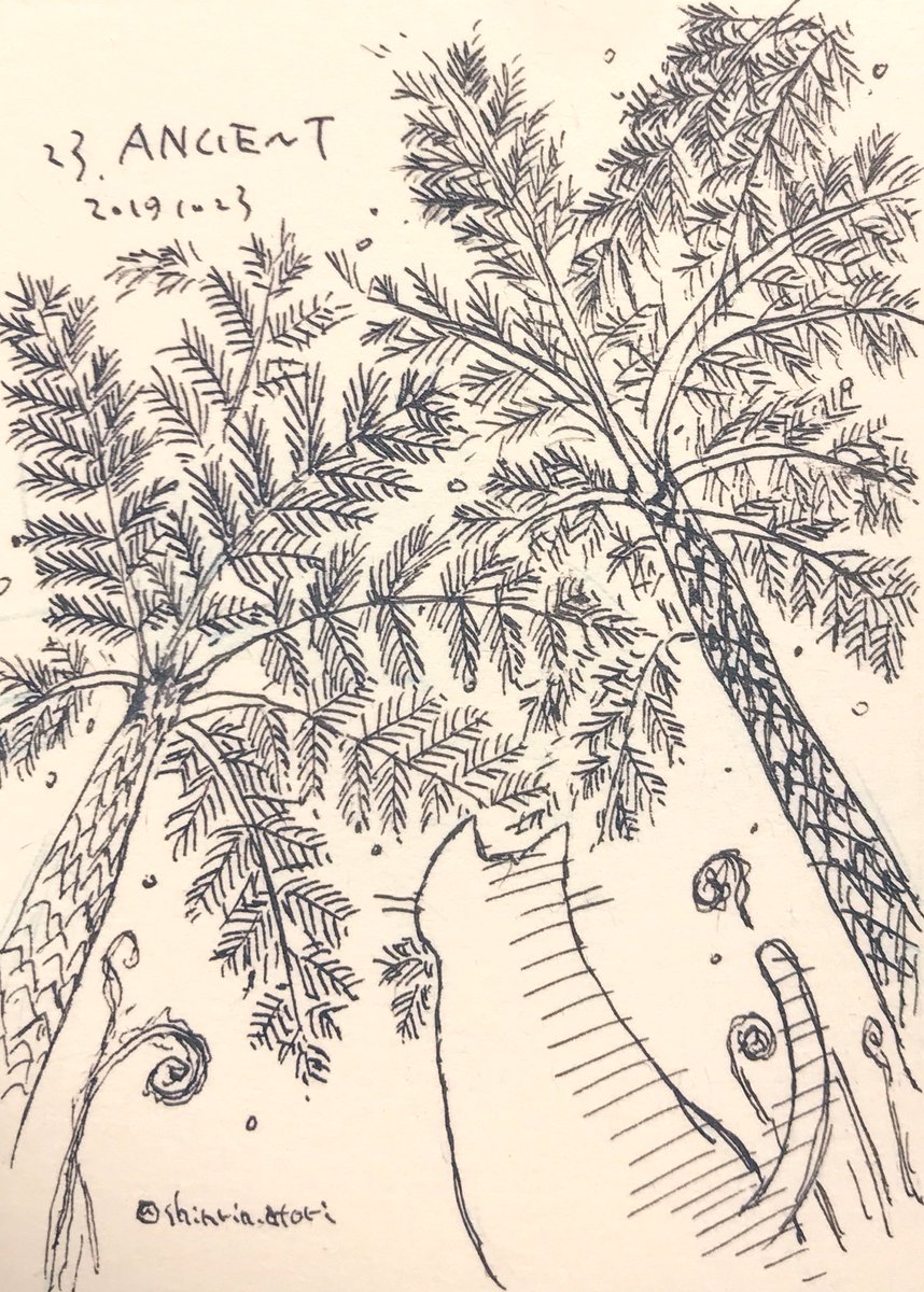 23 ANCIENT ヒカゲヘゴ
#Inktober2019
#inktober2019day23
恐竜がいた頃の森はこんなふうだったのかな?