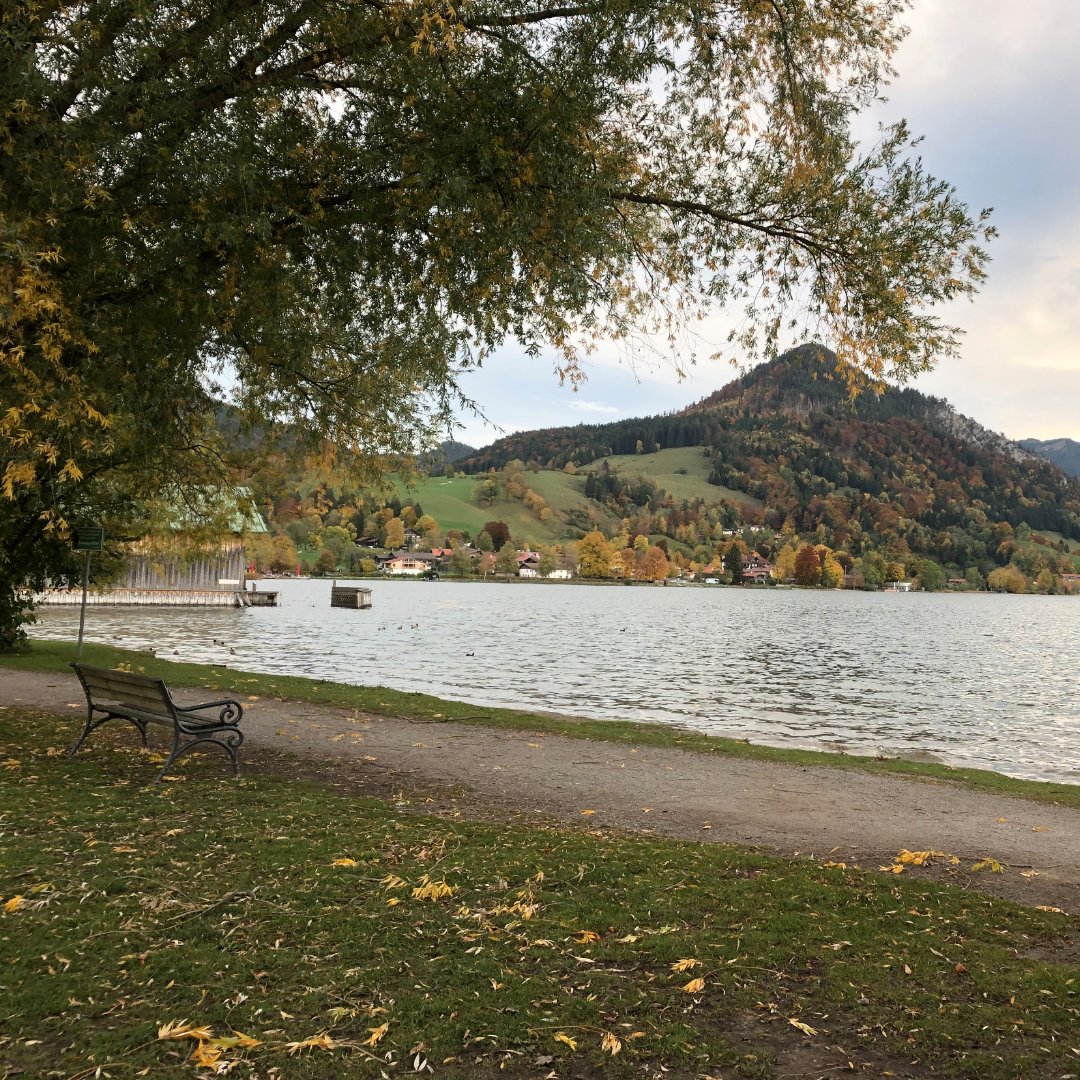 Damit der nächste #Frühling sich wunderschön entwickeln kann 🌱 haben wir Expertentipps zum Thema #winterfesterGarten im heutigen #Gartenblog zusammengefasst ⬇️
#arcadia #Gartengestaltung #Gartentipps #winterfesterGarten