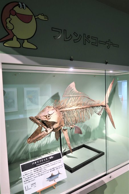 カブトガニのtwitterイラスト検索結果 古い順 カブトガニのtwitterイラスト検索結果 古い順