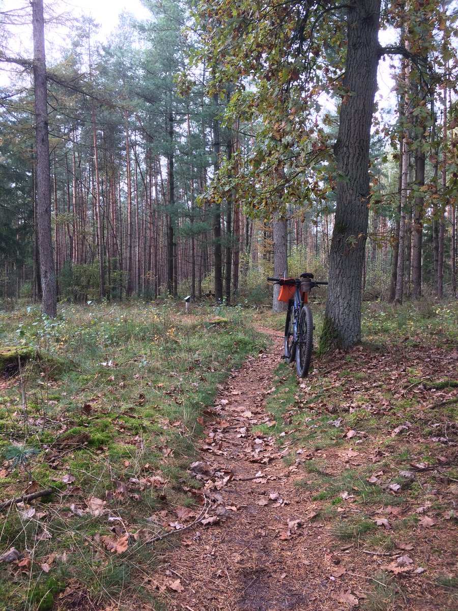 TCVeluweEpe's tweet photo. Het parcours ligt er perfect bij!! Morgen Eper Bossentocht!!! https://t.co/KafBR7BMQf