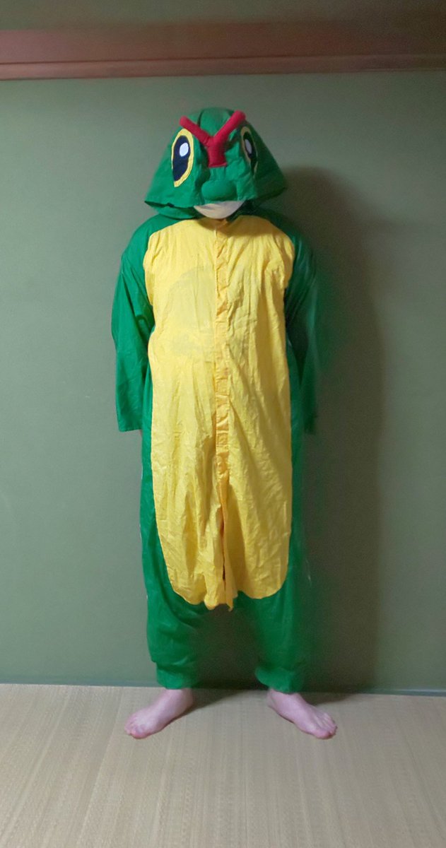 モアタ トランセルの寝袋 背中にチャックがあるからアニメ同様トランセルを突き破って登場するバタフリーになりきれるぞ