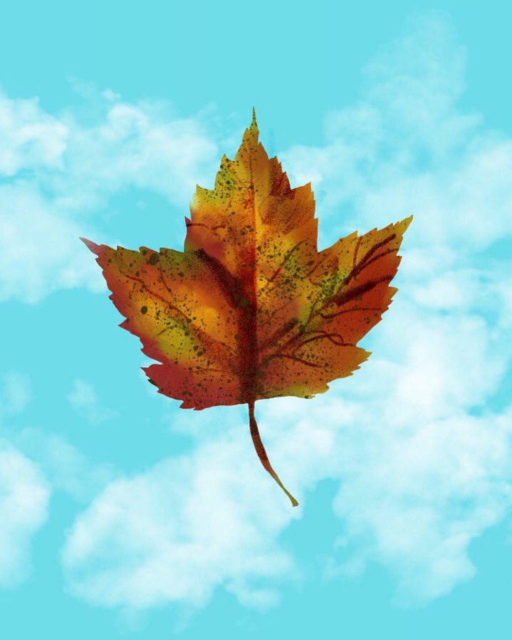 A watercolor for fall. #AdobeFresco