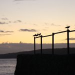Photo by Ocean Rise (@northdevonbreak)