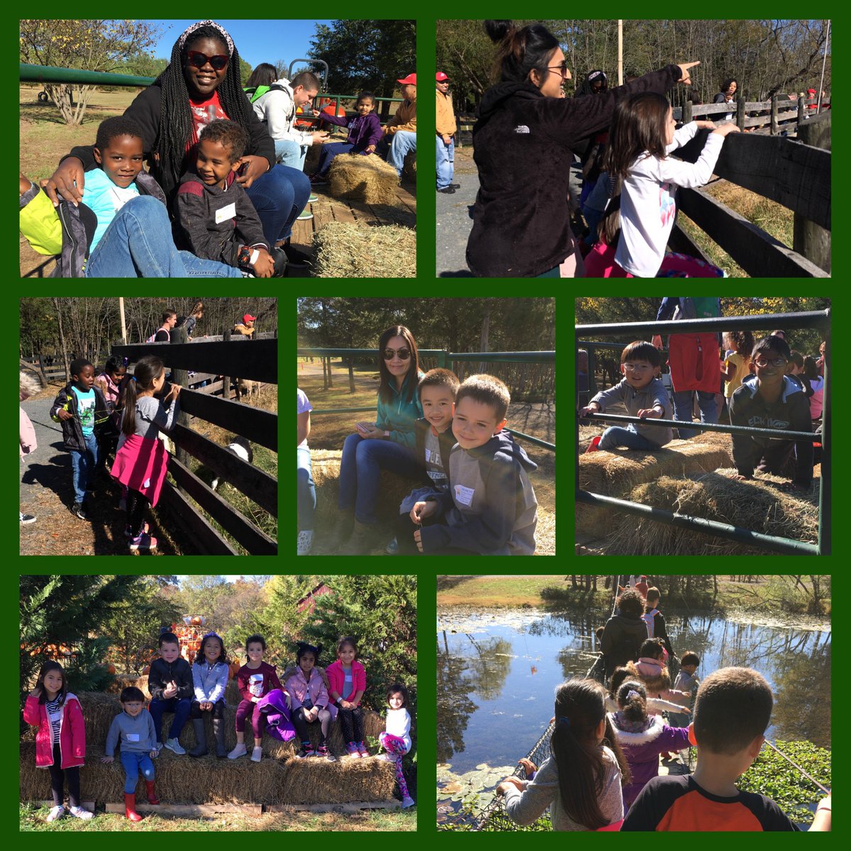 ProvidenceES's tweet image. Our kindergarten students enjoyed their time at Ticonderoga Farms this week! #pumpkinpatchfun #outdoorlearning #ticonderogafarm
