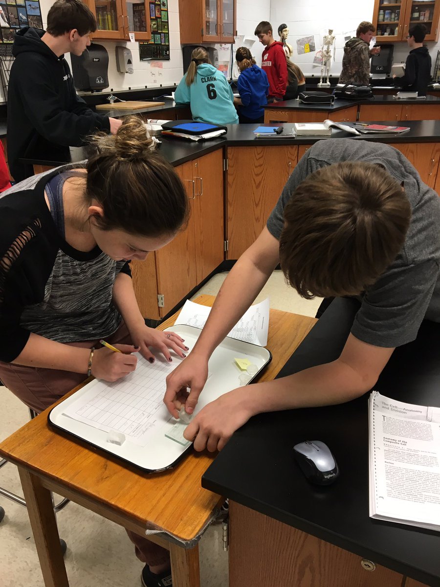 JWilkinsonBio's tweet photo. Earth Science students had fun identifying minerals!#twolves7pridemhs https://t.co/FAhwcKKjZq