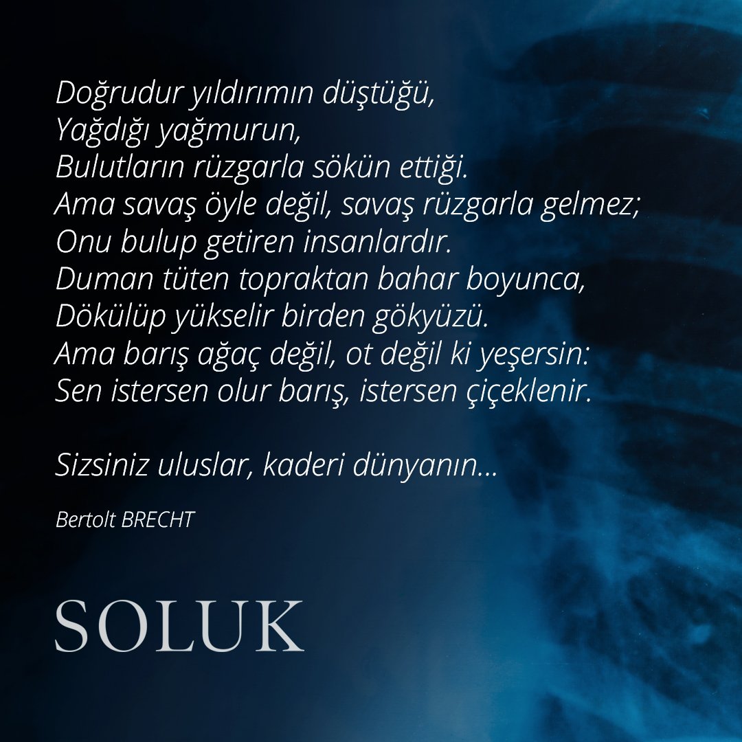 Soluk mısralar 
#solukfilmşiir #solukfilm #soluk #uğurpolat #tamer #bertoltbrecht #çağrı