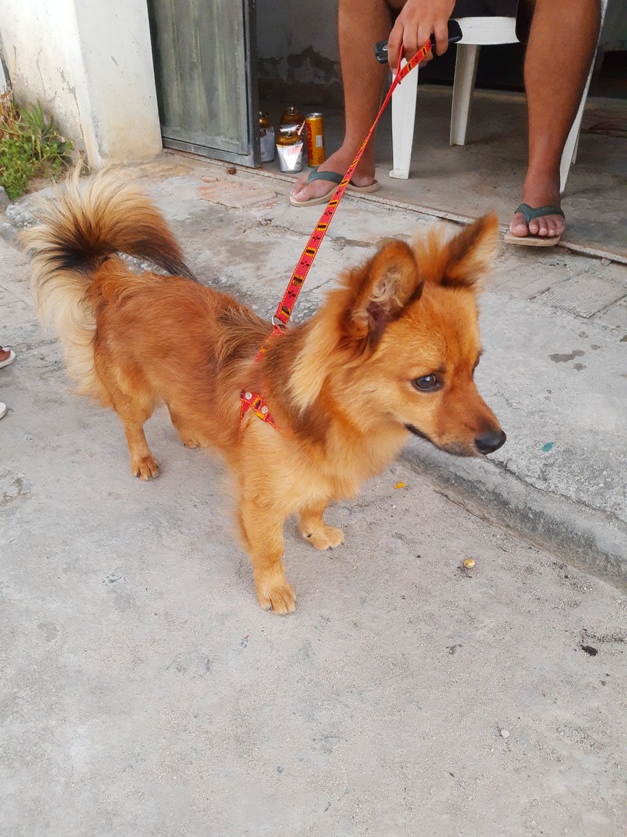 Meu Thor😍😍🤩♥️♥️