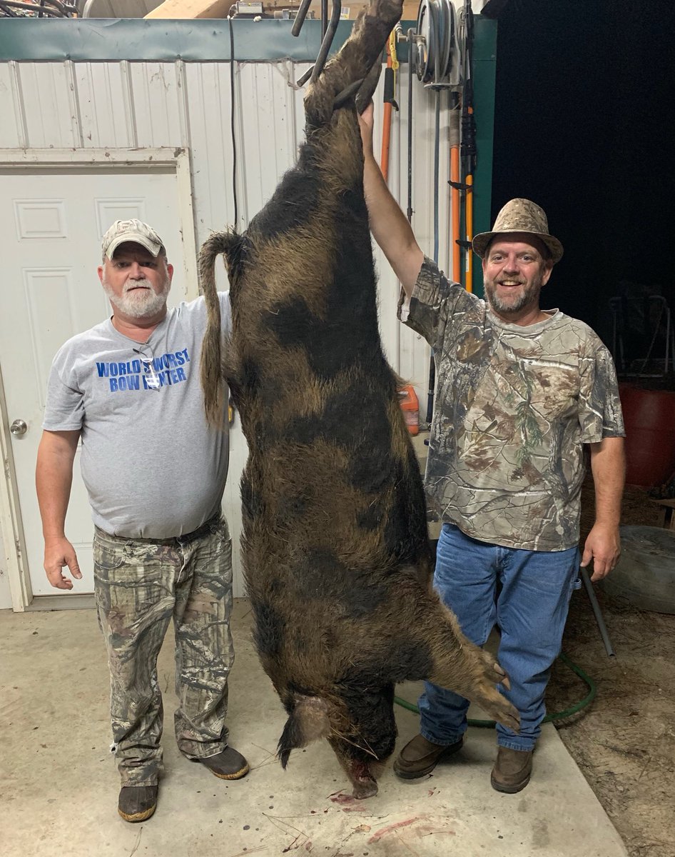 Lindsay Thomas Jr. tweet media