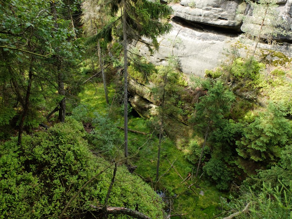 IPC-IOPC 2020 tweet media