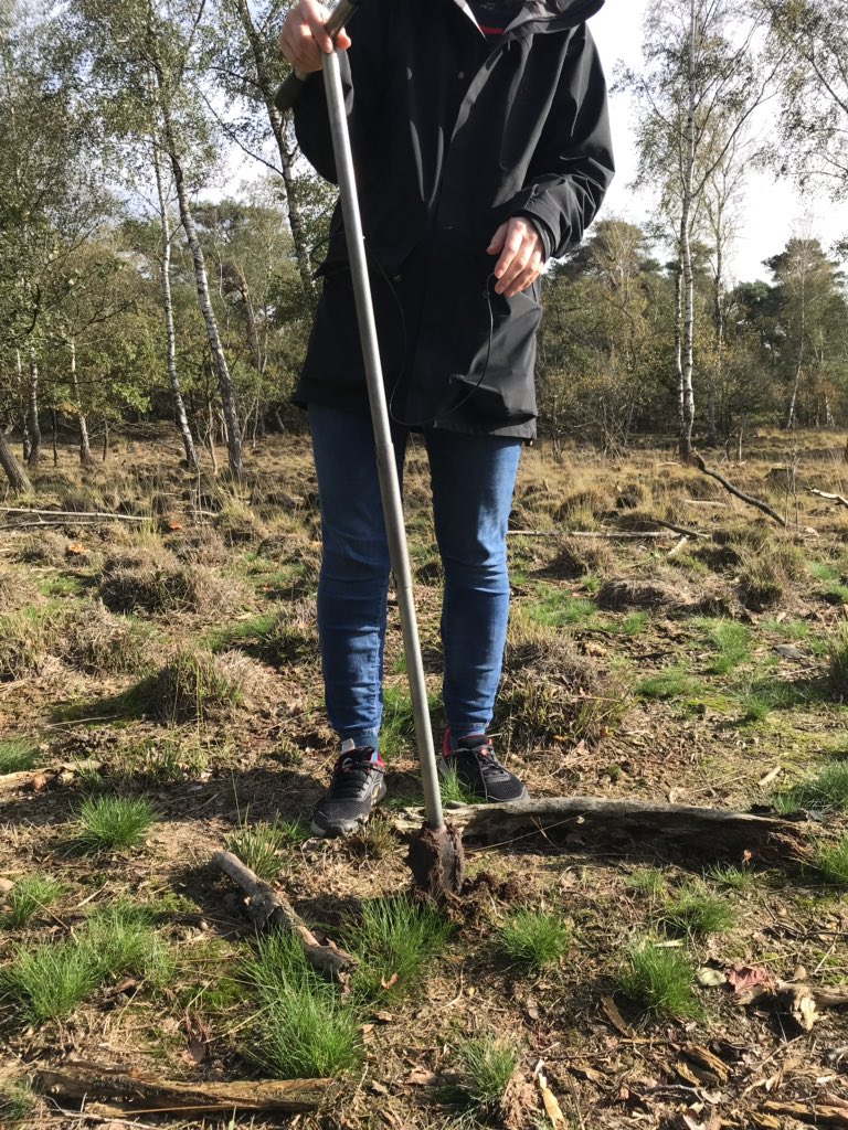 LoonseDrunenseDuinen tweet media