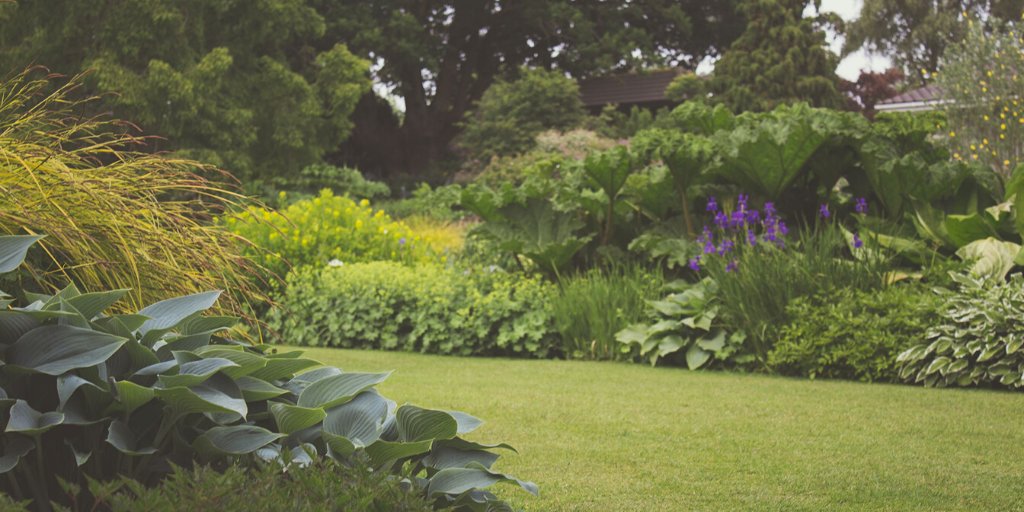 Soil_Fixer's tweet photo. Here's our tips for caring for the lawn in autumn and how a sprinkling a biochar can be massively beneficial #biochar #garden #lawncare https://t.co/MZQNhUUPtf https://t.co/IA0CR9JKdb