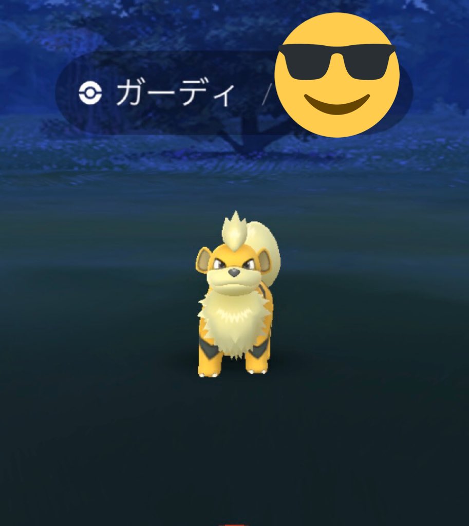 色違いガーディ