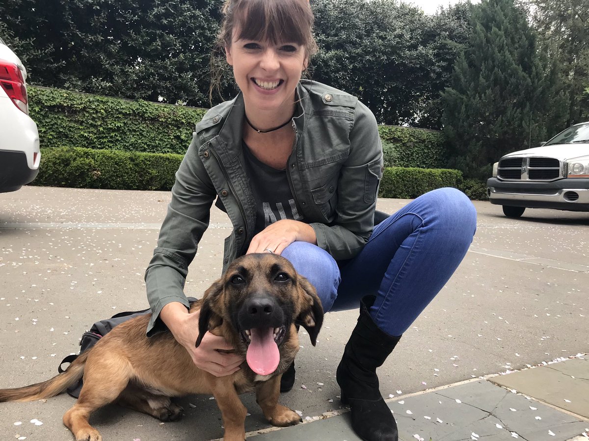 Adopting a dog not only saves that life, but makes space for another life to be saved. Proud to support #NationalDogAdoptionDay