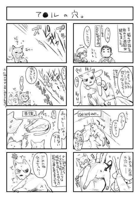 漫画かきさんと子猫たちとのもきゅもきゅ生活のハズがキリキリ舞いに・・・
お猫様の話その３～そして事件は起きた～

その１
https://t.co/DAHrkMBtzK
その２
 