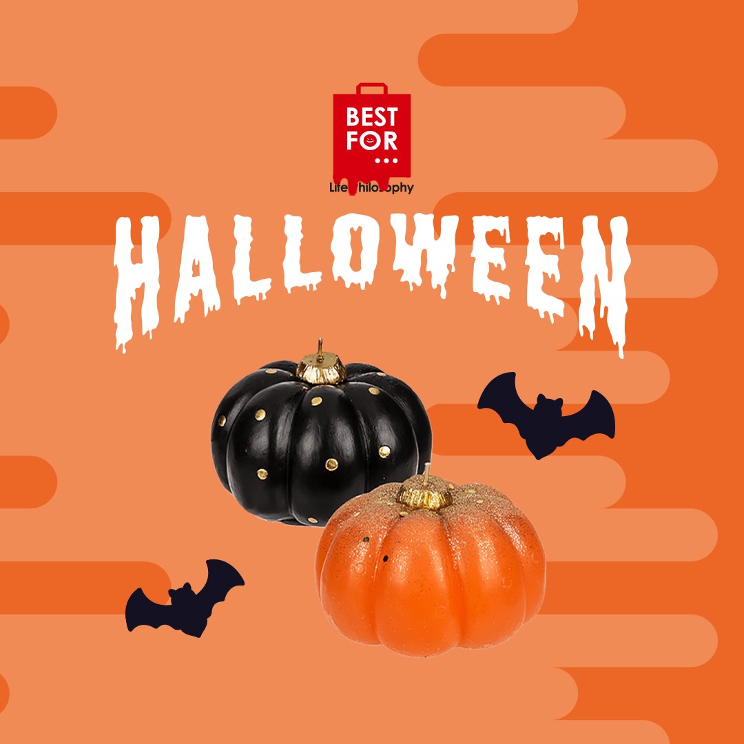 Bestforcompany's tweet photo. Pumpkins everywhere! 

🎃🎃🎃

#pumpkin #Pumpkins #Halloween #bestfor #best #for #greece #NewPost https://t.co/t1ECwZn52g