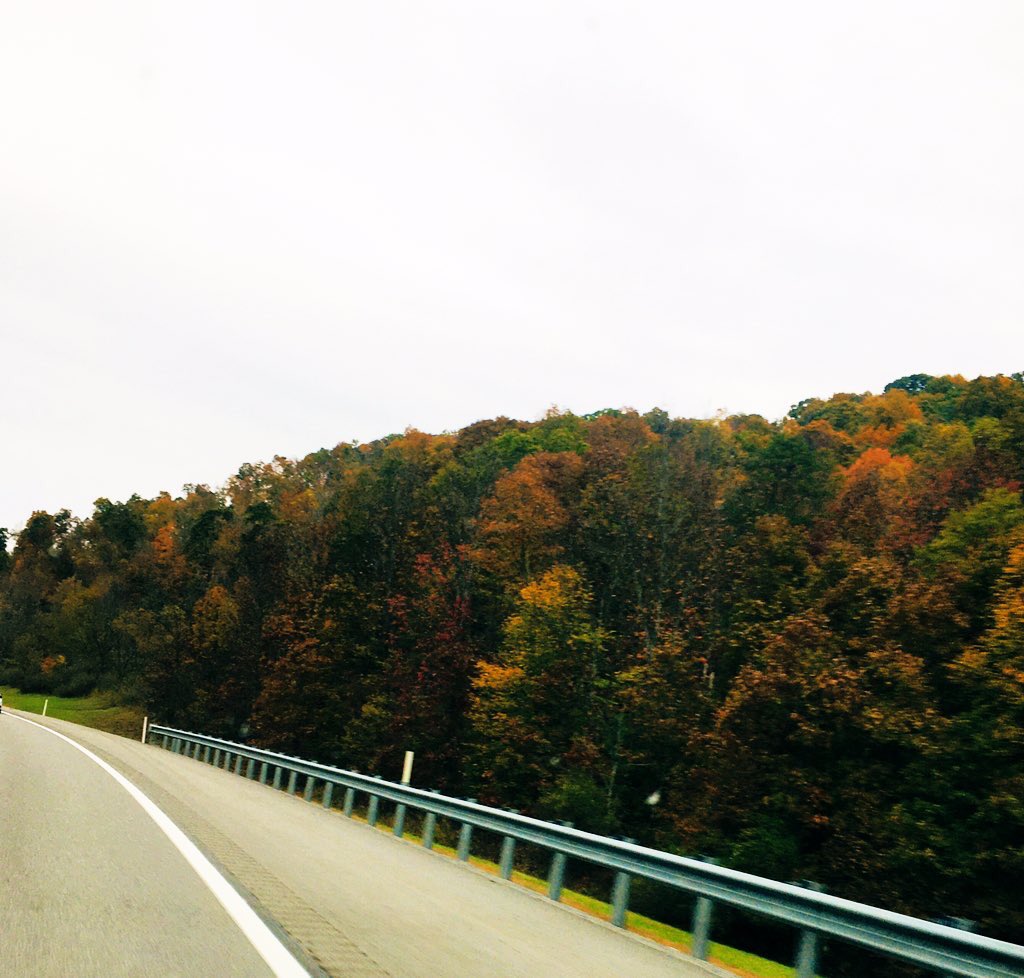 OurHurricaneWV's tweet photo. Take a drive to see the leaves before they’re gone. #countryroads #almostheaven #thisiswv #wv https://t.co/wJ7Uhzd1TJ