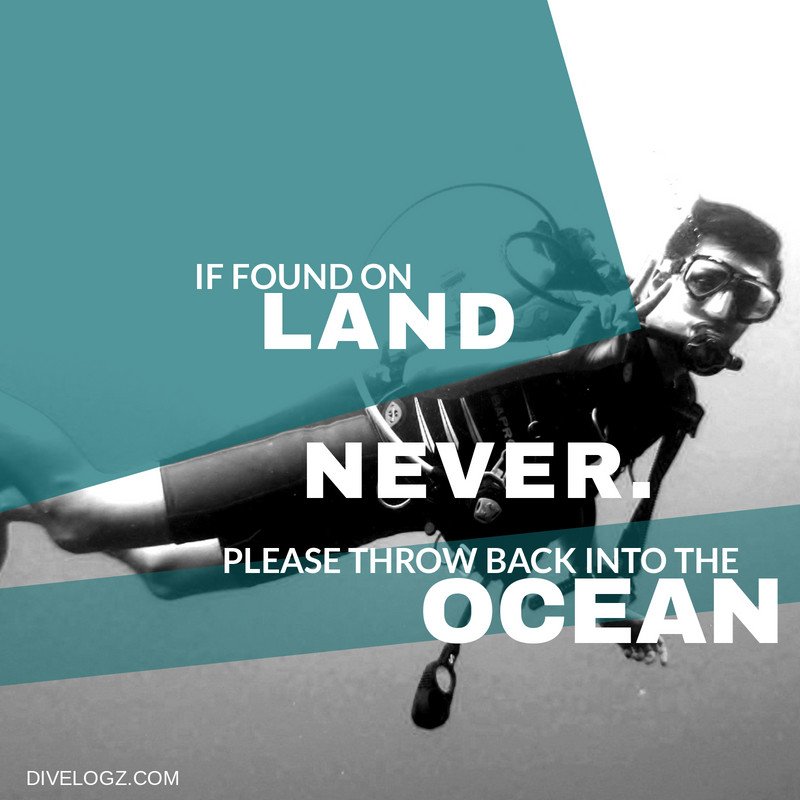 DiveLogz's tweet image. 😅😂 #addictedtoscuba