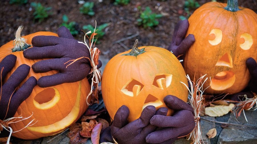 Visit De Lutte Losser tweet media