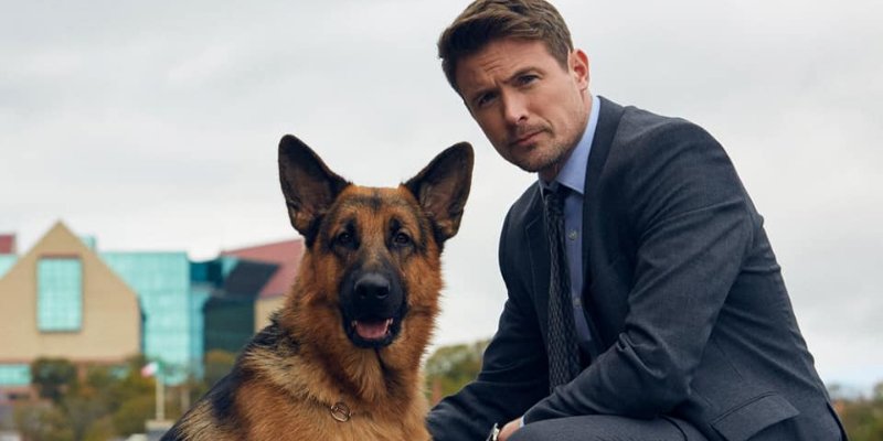 Locally-Filmed Show ‘Hudson and Rex’ Piques International Interest 

Congrats to the <a href="/hudsonandrex/">Hudson & Rex on Citytv</a> team! #nlarts #HudsonandRex

vocm.com/2019/10/18/hud…