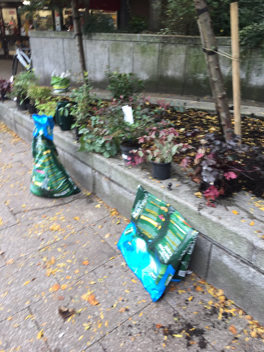 AddingtonStreet tweet media