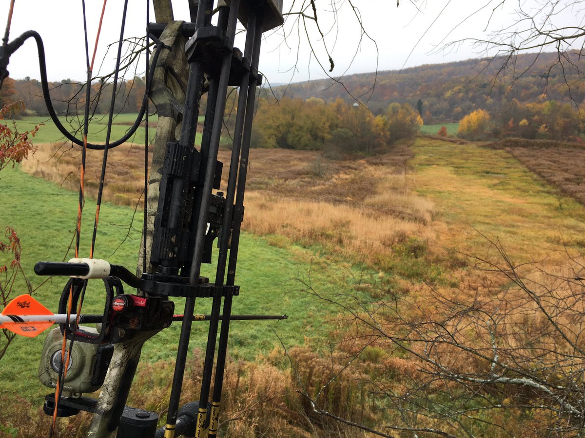 DeerHunterFan's tweet photo. Seems perfect out here. #deerhunting #deerhunterfan #bowhunting #archeryhunting https://t.co/zxzug83gnl